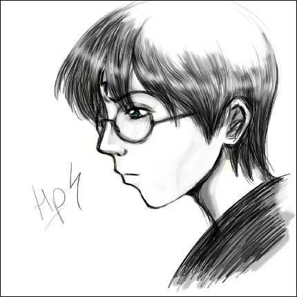 Harry_Potter_fanart (1200x1200, 124 k...)