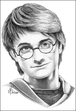 harry-potter-murphy-elliott (552x800, 68 k...)